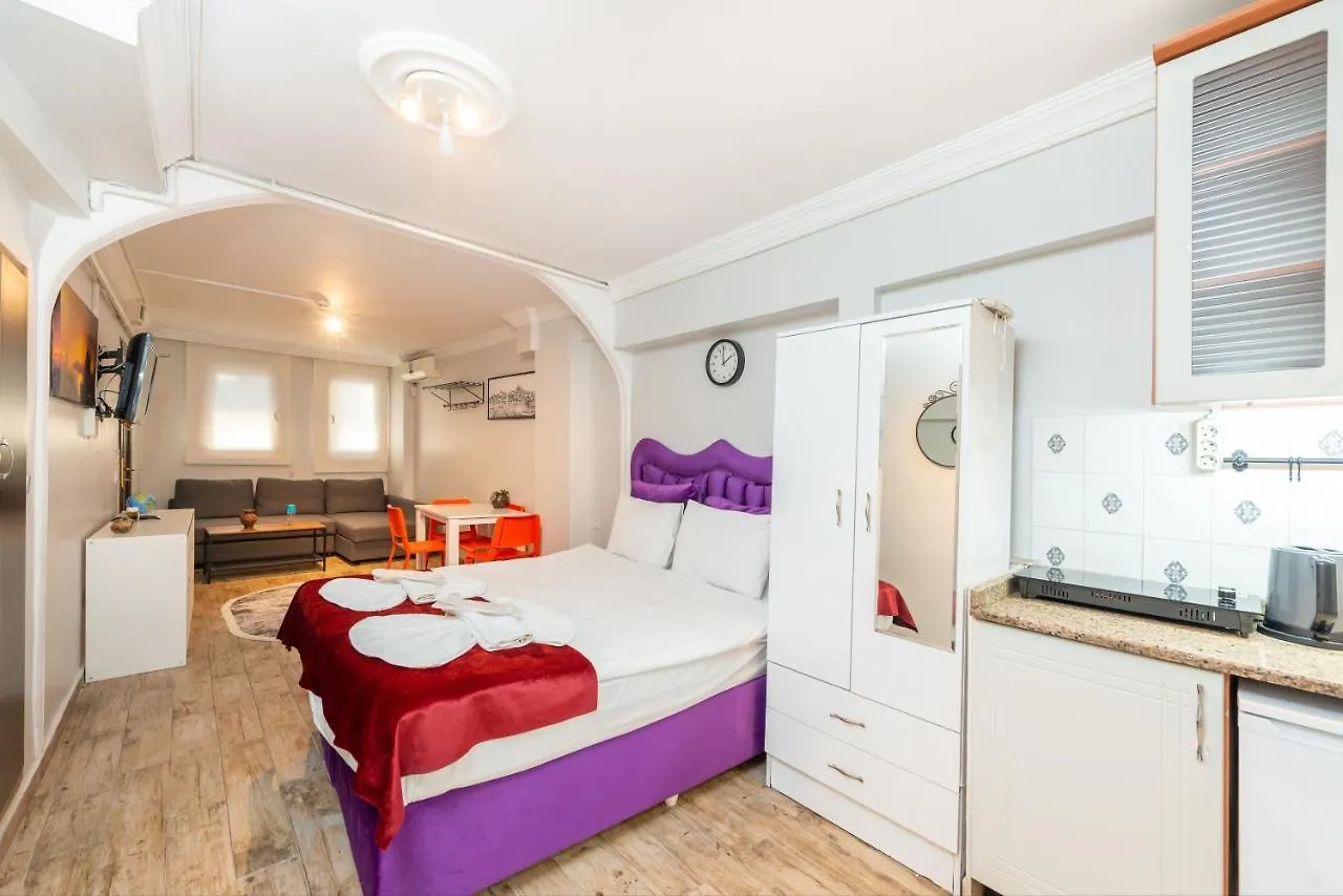 Stone Hause Kuecuek Ayasofya Mah Aparthotel Istanbul 0*,